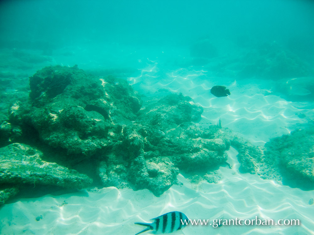 Pulau Perhentian underwater photography of fish and reef