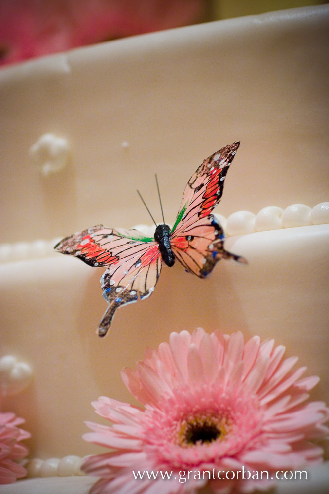 Wedding butterfly theme wedding cake